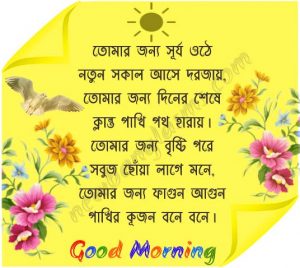 good morning images in bengali, subho sokal bangla pic, সুপ্রভাত Bangla photo