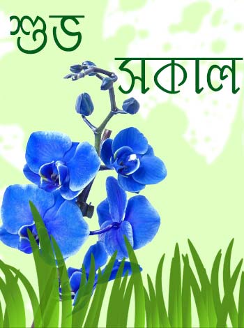 Shuvo Sokal Bangla Image - Animaltree