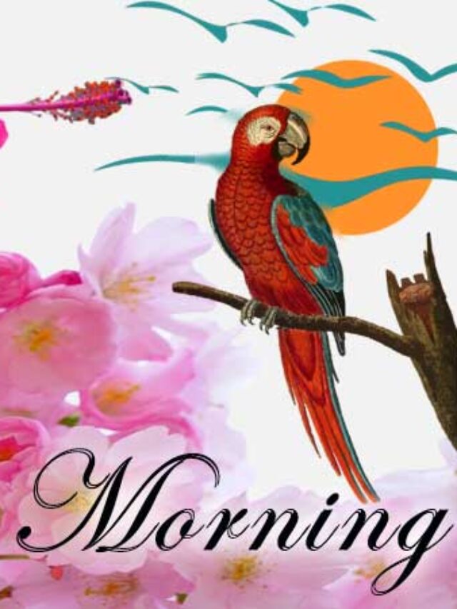 cropped-good-morning-wishes-in-bengali-with-images.jpg