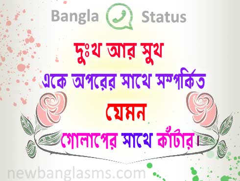 WhatsApp status Bengali Sad Shayari