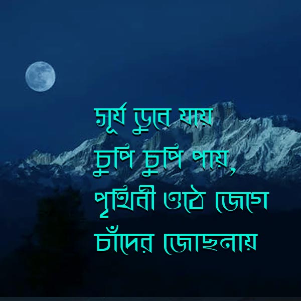 Good Night Image in Bengali 2023 sms Subho ratri pic hd photo download