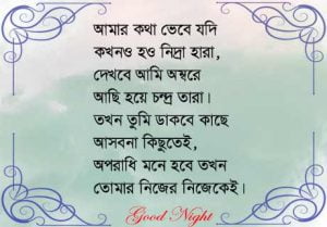 Good Night Image in Bengali 2023 sms Subho ratri pic hd photo download