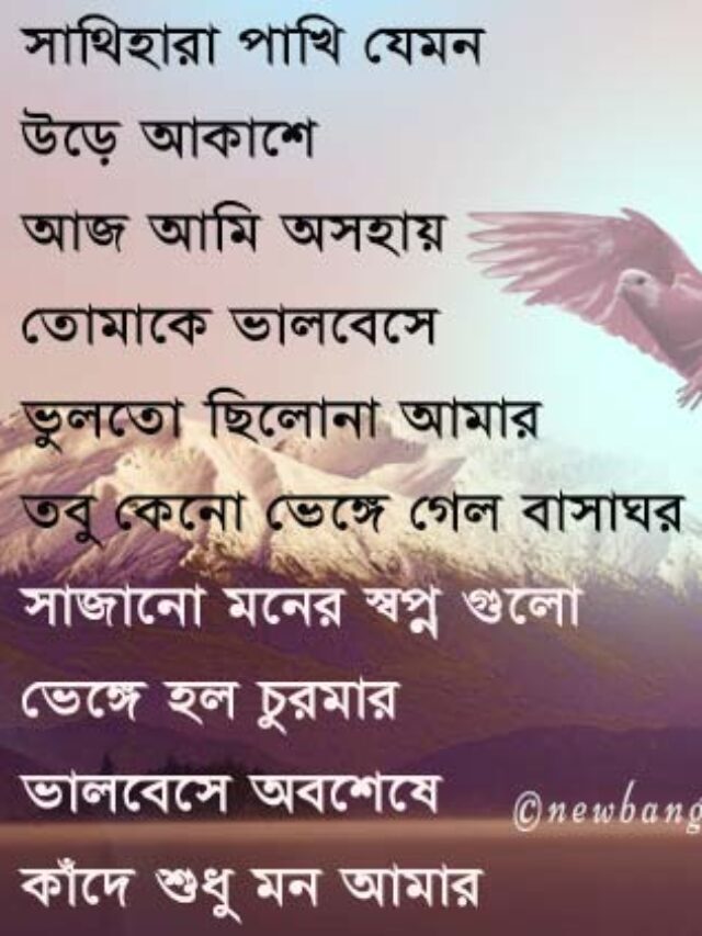 Bengali Sad DP For Whatsapp Shayari – New Bangla SMS
