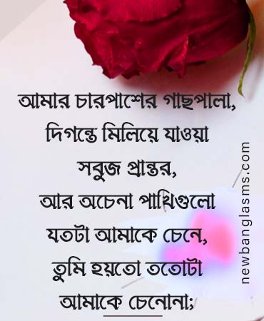 New-fb-status-quotes-bangla