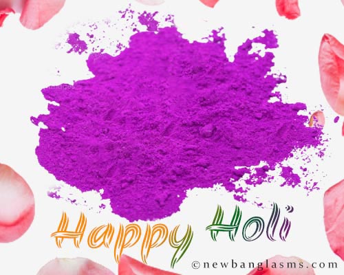 Best Holi Caption Bengali Dol Purnima