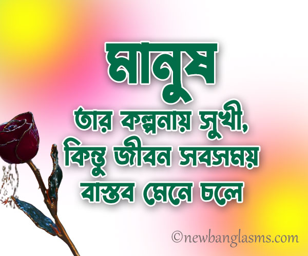 new-cheleder-facebook-status-pic