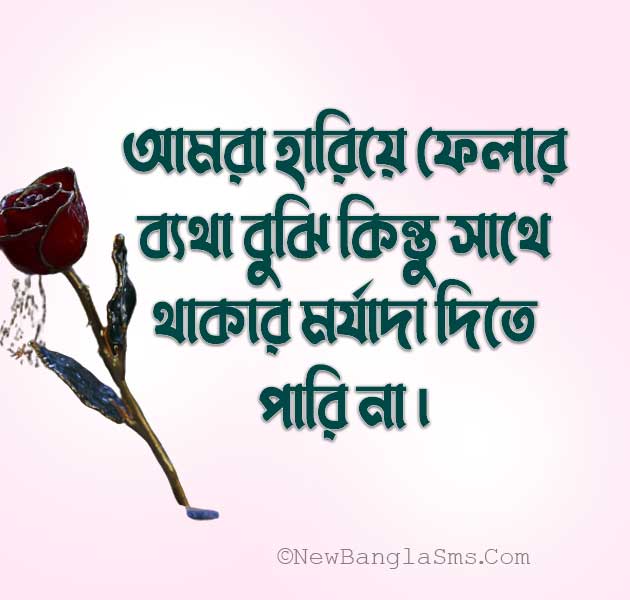 Amra hariye felar byatha bujhi