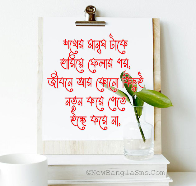 Caption-11~Sokher manustake hariye felar por