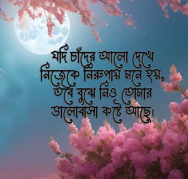 Jodi chader alo dekhe nijeke nirupai Mone hoy