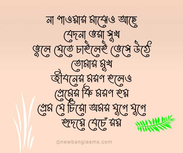 Best bangla emotional shayari