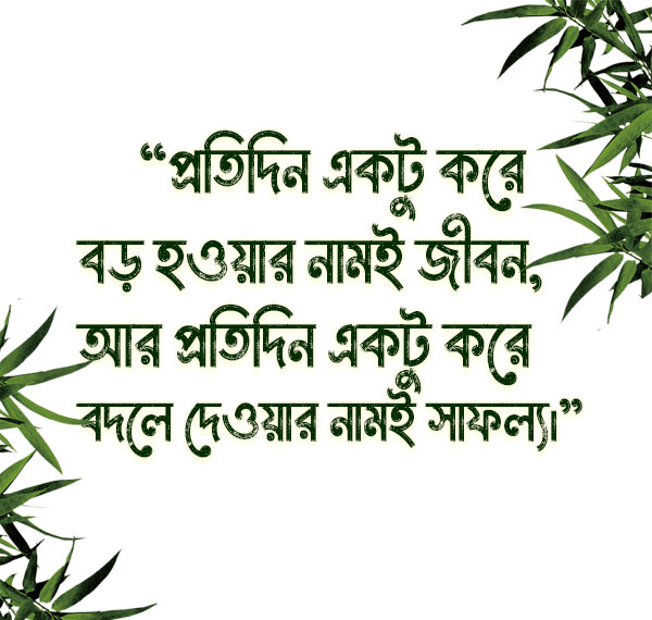 BHalo Motivational status