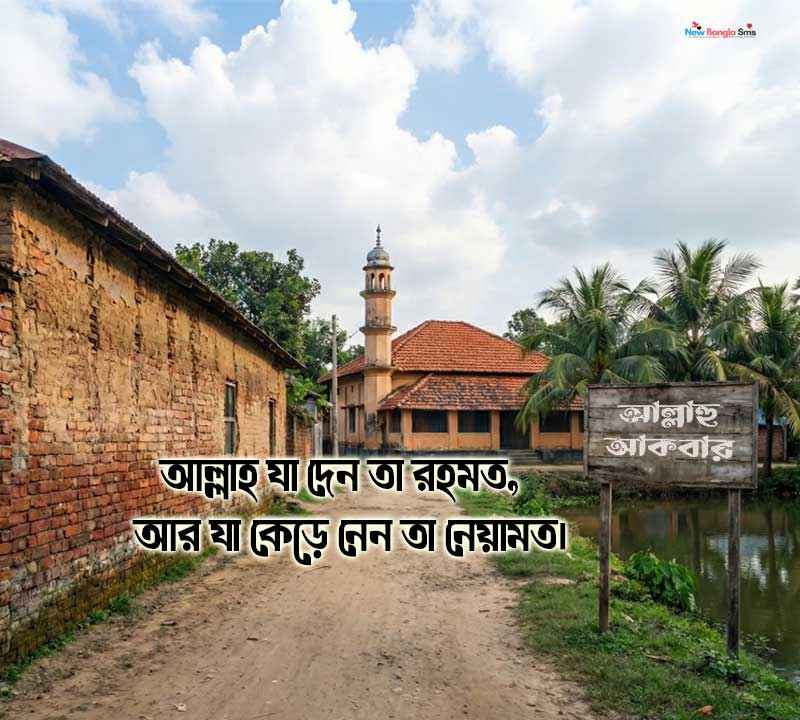 bangla ukti fb status